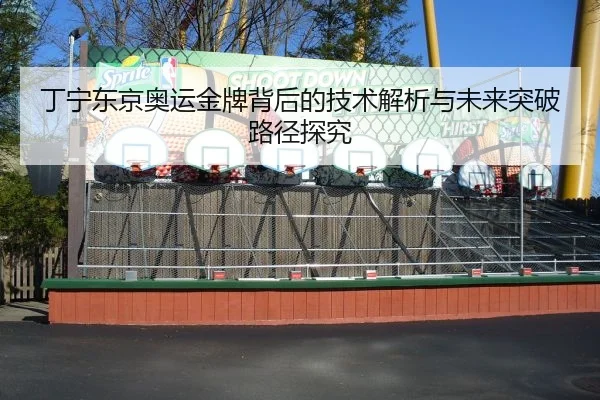 丁宁东京奥运金牌背后的技术解析与未来突破路径探究